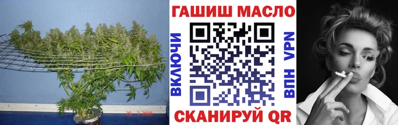 купить закладку  Коряжма  ТГК концентрат 